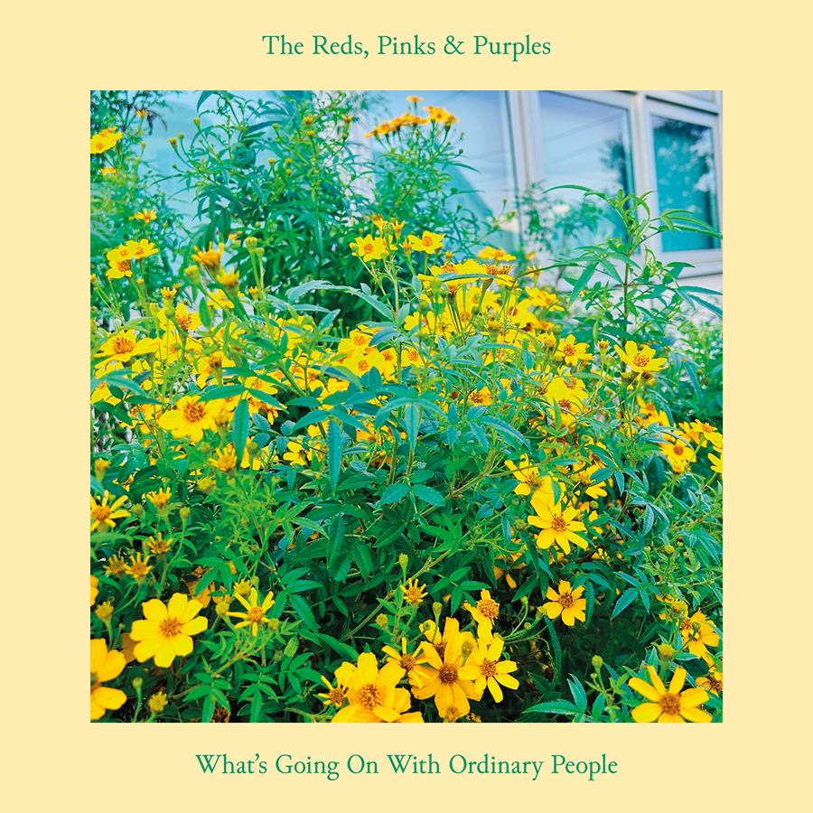 The Reds, Pinks & Purples shares third single from new LP, “What’s Going On With Ordinary People”