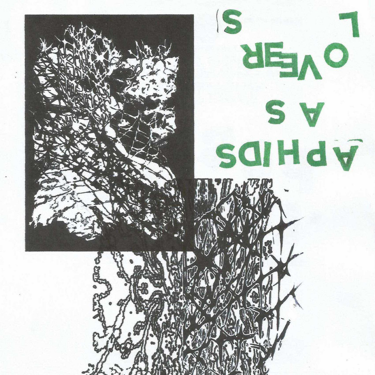 Aphids As Lovers release  Rosa Mortem Demos