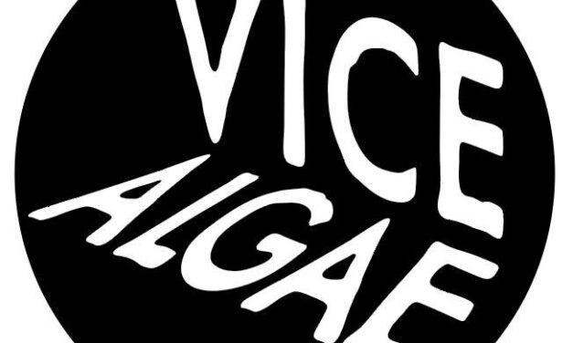 Vice Algae release  “Vapid House” single, debut album “Golden Hell” out May 23rd
