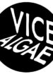Vice Algae release  “Vapid House” single, debut album “Golden Hand” out May 23rd
