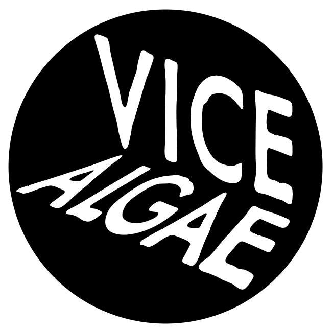 Vice Algae release  “Vapid House” single, debut album “Golden Hell” out May 23rd
