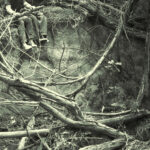 Los Angeles shoegaze duo Whither release brilliant new E.P. “Wilted”