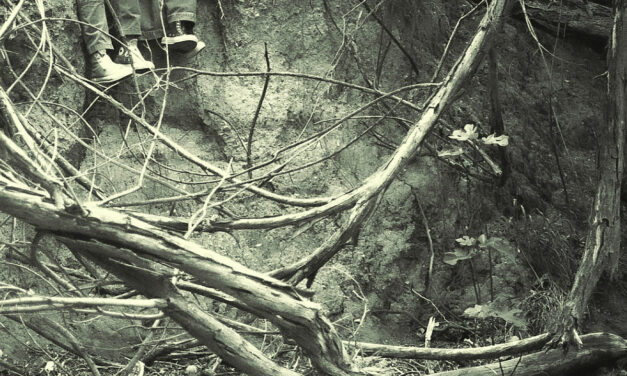 Los Angeles shoegaze duo Whither release brilliant new E.P. “Wilted”