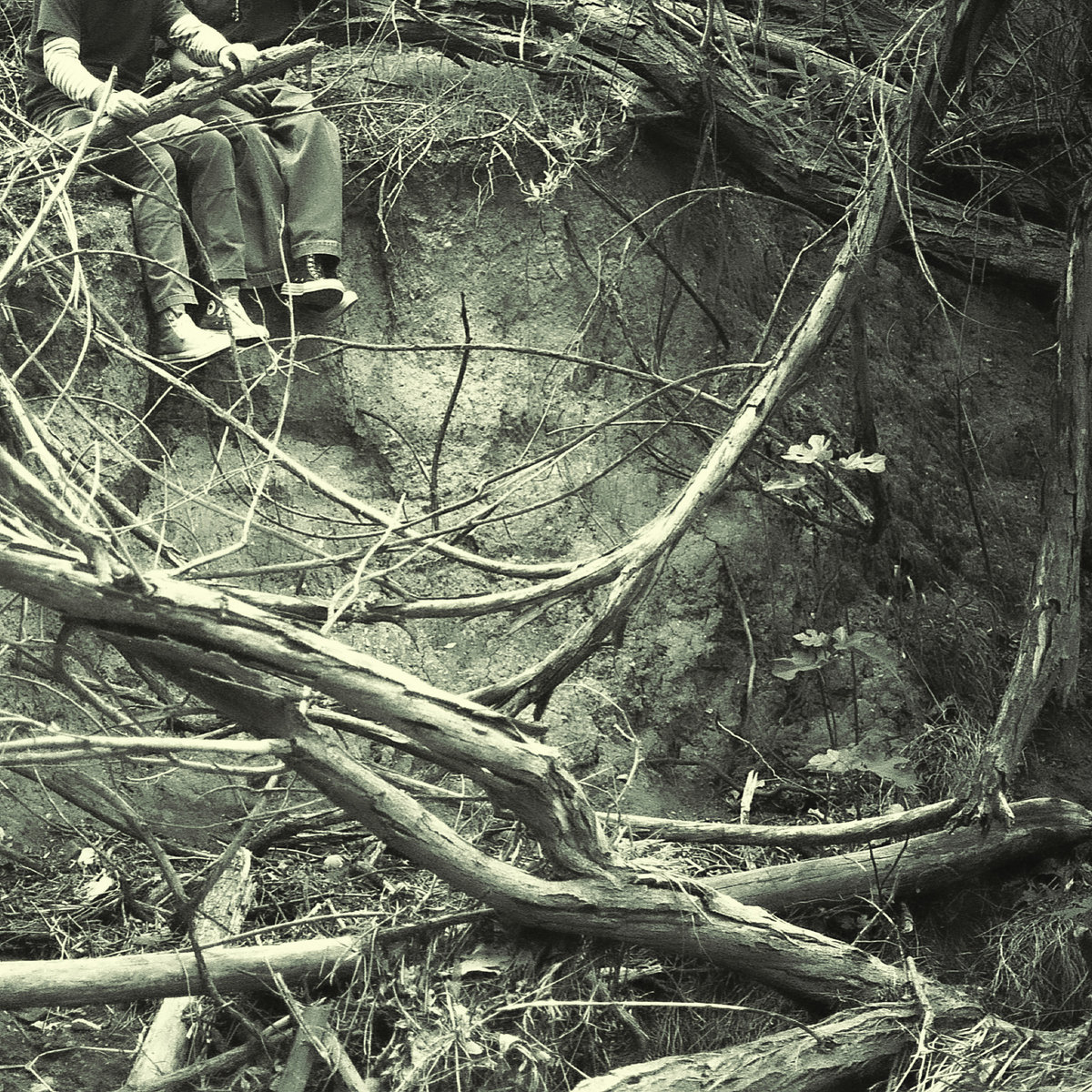 Los Angeles shoegaze duo Whither release brilliant new E.P. “Wilted”