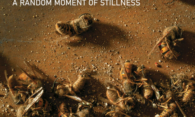 Polish rock unit Sublunar deliver on new album “A Random Moment of Stillness”