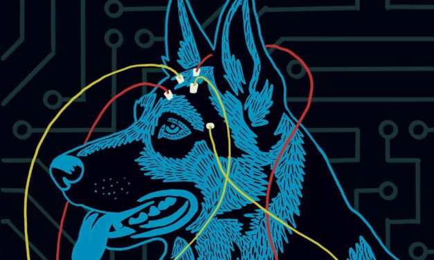 Band Of Horses and Dinosaur JR. announce 16 date co-headlining tour