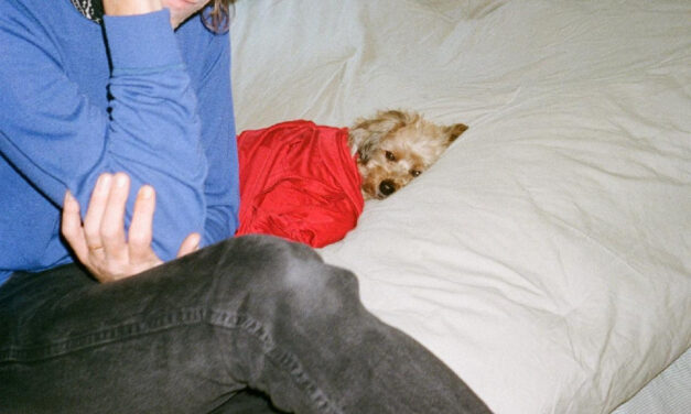 White Fence Share New Single “Unread Books”; New Album ‘Orange’ Out April 24