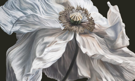 NYC Post-Hardcore Legends QUICKSAND Announce First Album In Five Years, “Bring On The Psychics,” Out July 17