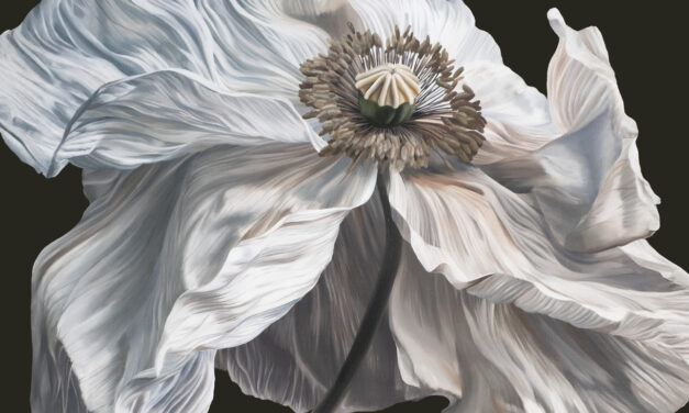 NYC Post-Hardcore Legends QUICKSAND Announce First Album In Five Years, “Bring On The Psychics,” Out July 17