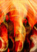 Converge reveal new ‘Hum of Hurt’ single: “Doom in Bloom”
