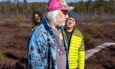 Dinosaur Jr announce new album “There Near” drop new single “Several Got Away”